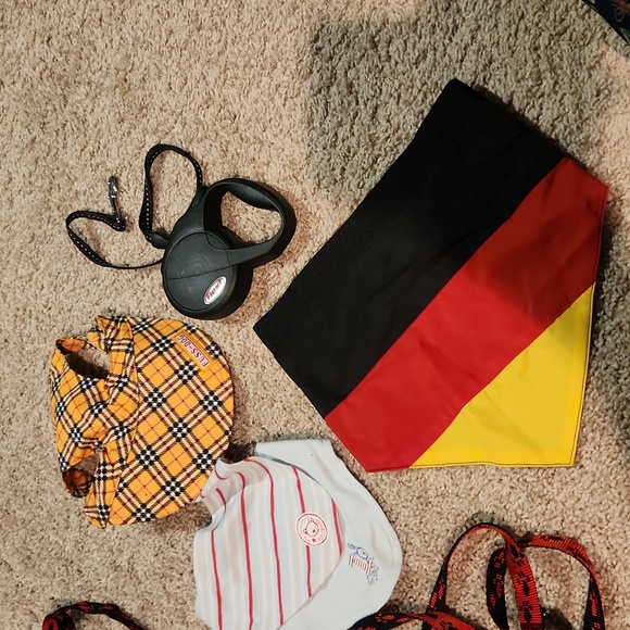 Lot of dog accessories - Picture 2 of 8